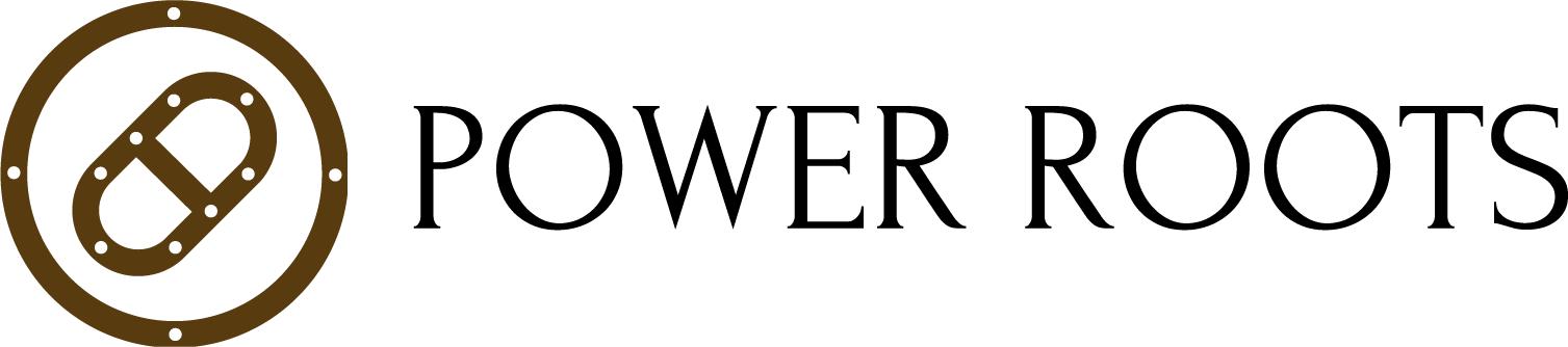 website logo