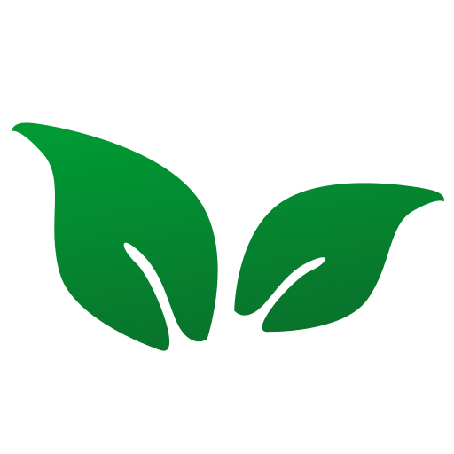 minervibecv.info favicon