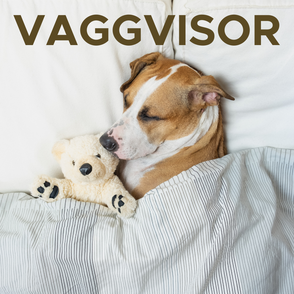 Vaggvisor att lyssna på