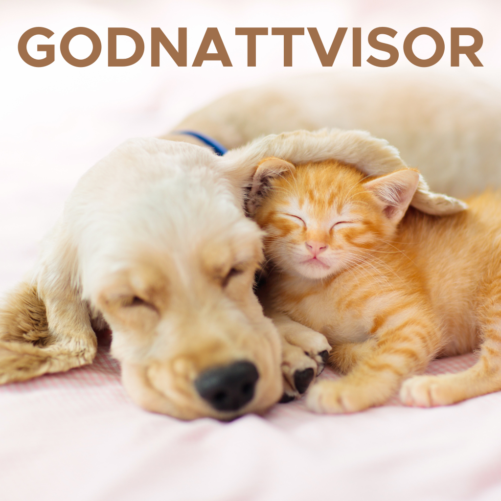 Godnattvisor att lyssna på