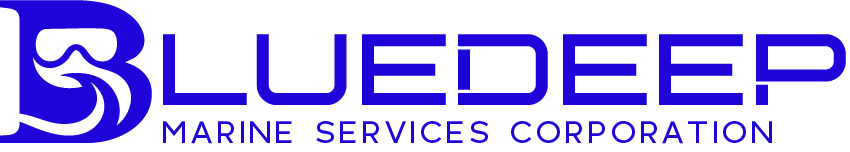 website logo